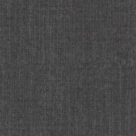 Cape Darkgrey