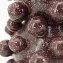 Vaas Viro Burgundy - By-Boo