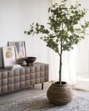Vaas Planter Benti Small - By-Boo