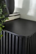 Kabinet Remi 2 drs. zwart Mangohout - Eleonora