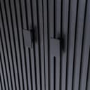 Kabinet Remi 2 drs. zwart Mangohout - Eleonora