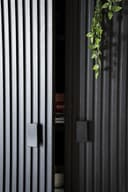Kabinet Remi 2 drs. zwart Mangohout - Eleonora