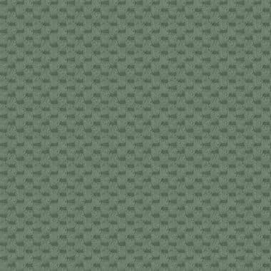 Dot kleur Kleur 31