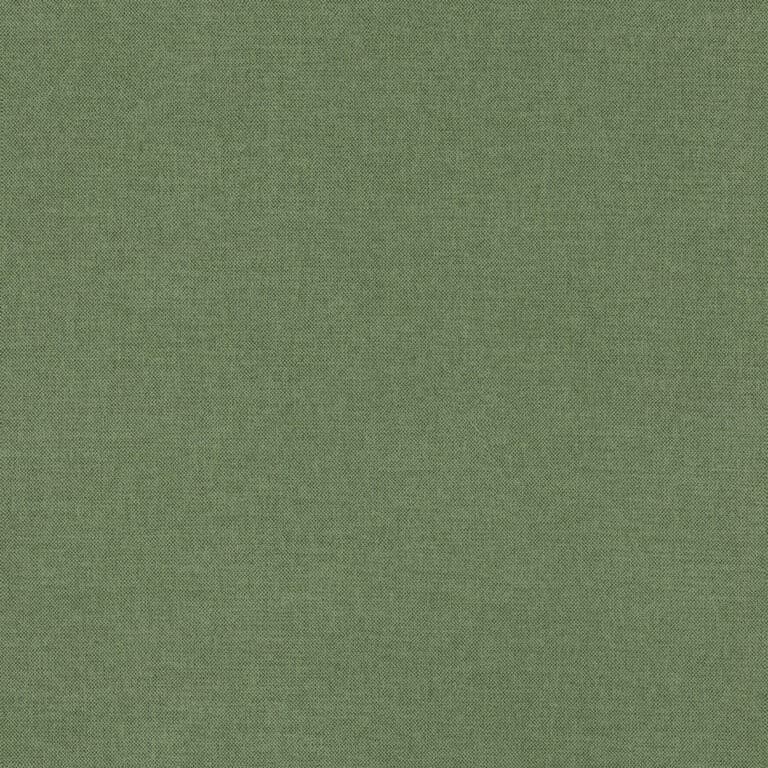 Scala kleur Kleur 38