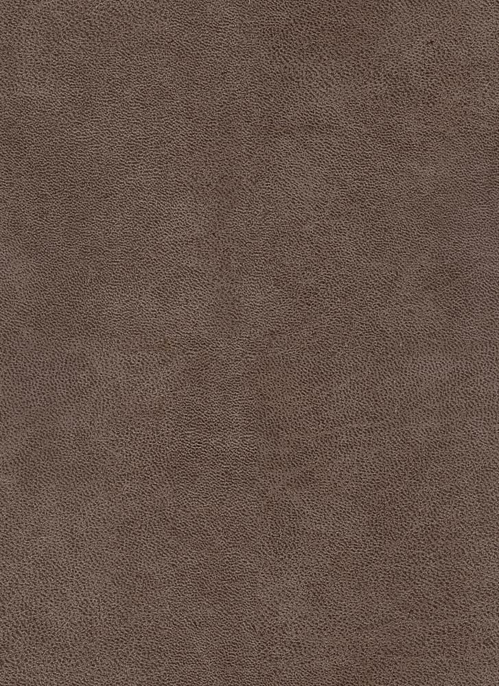 Bull kleur Brown 15