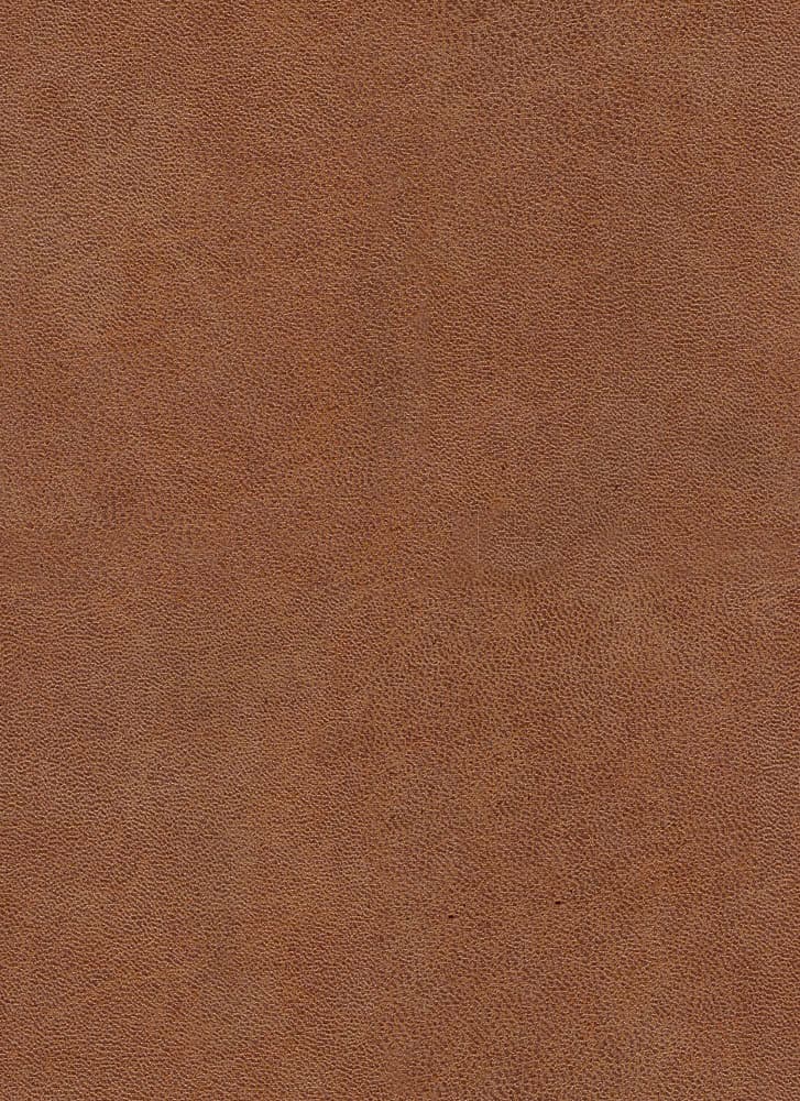 Bull kleur Cognac 28