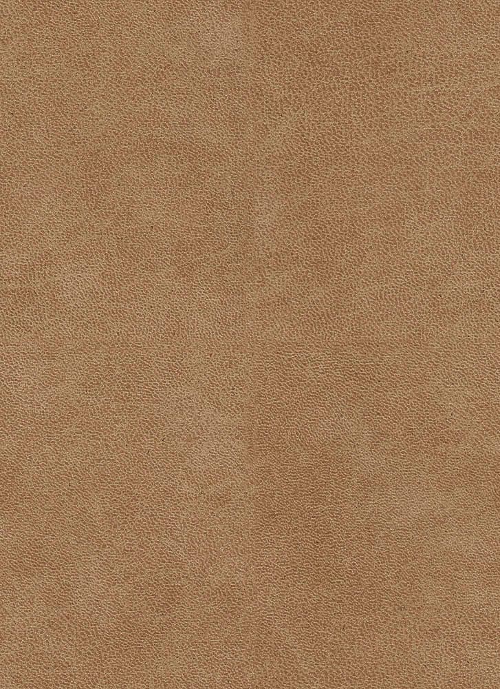 Bull kleur Desert 109