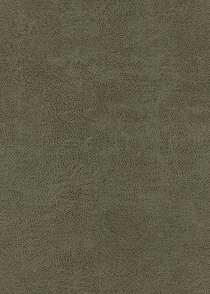 Bull kleur Forest 162