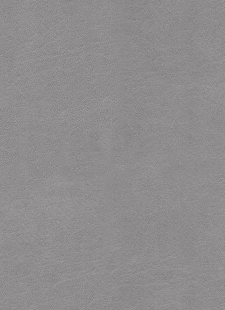 Bull kleur Steel 149