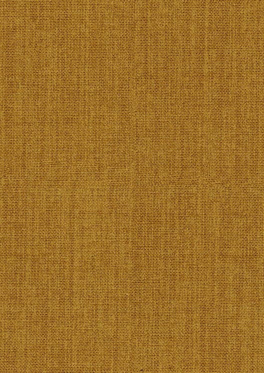 Cape kleur Mustard 06