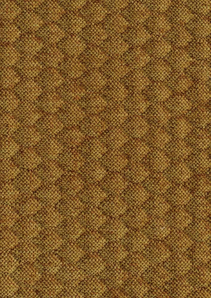 Caro kleur Gold 132