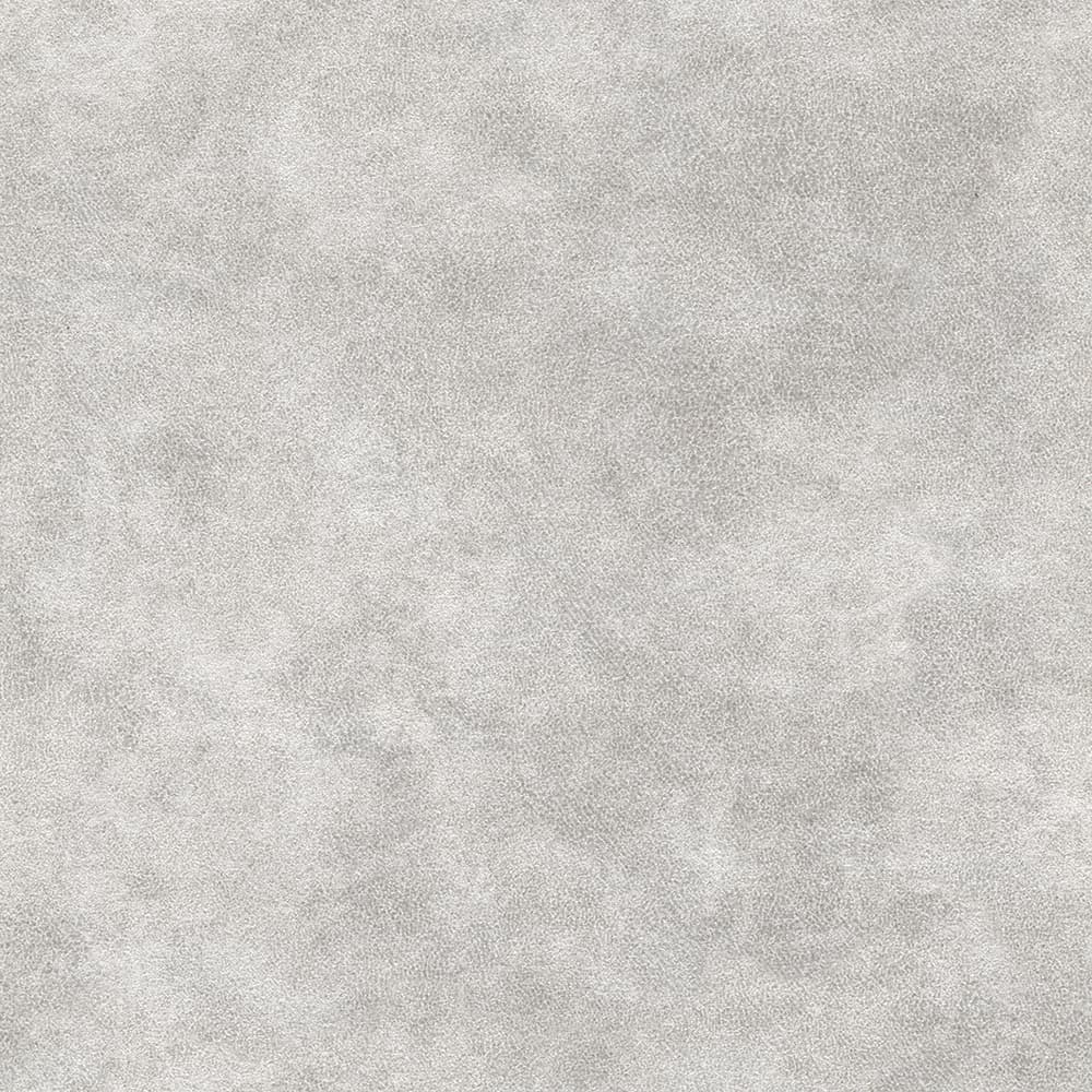 Jeep kleur Lightgrey 60