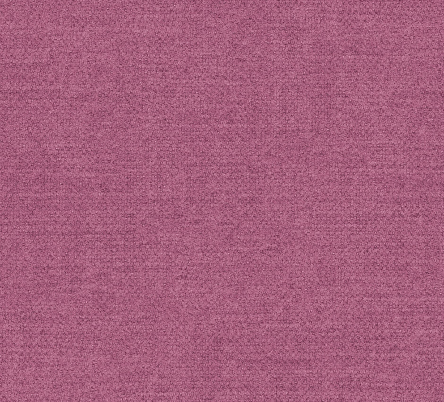 Kiss kleur Fuchsia 77