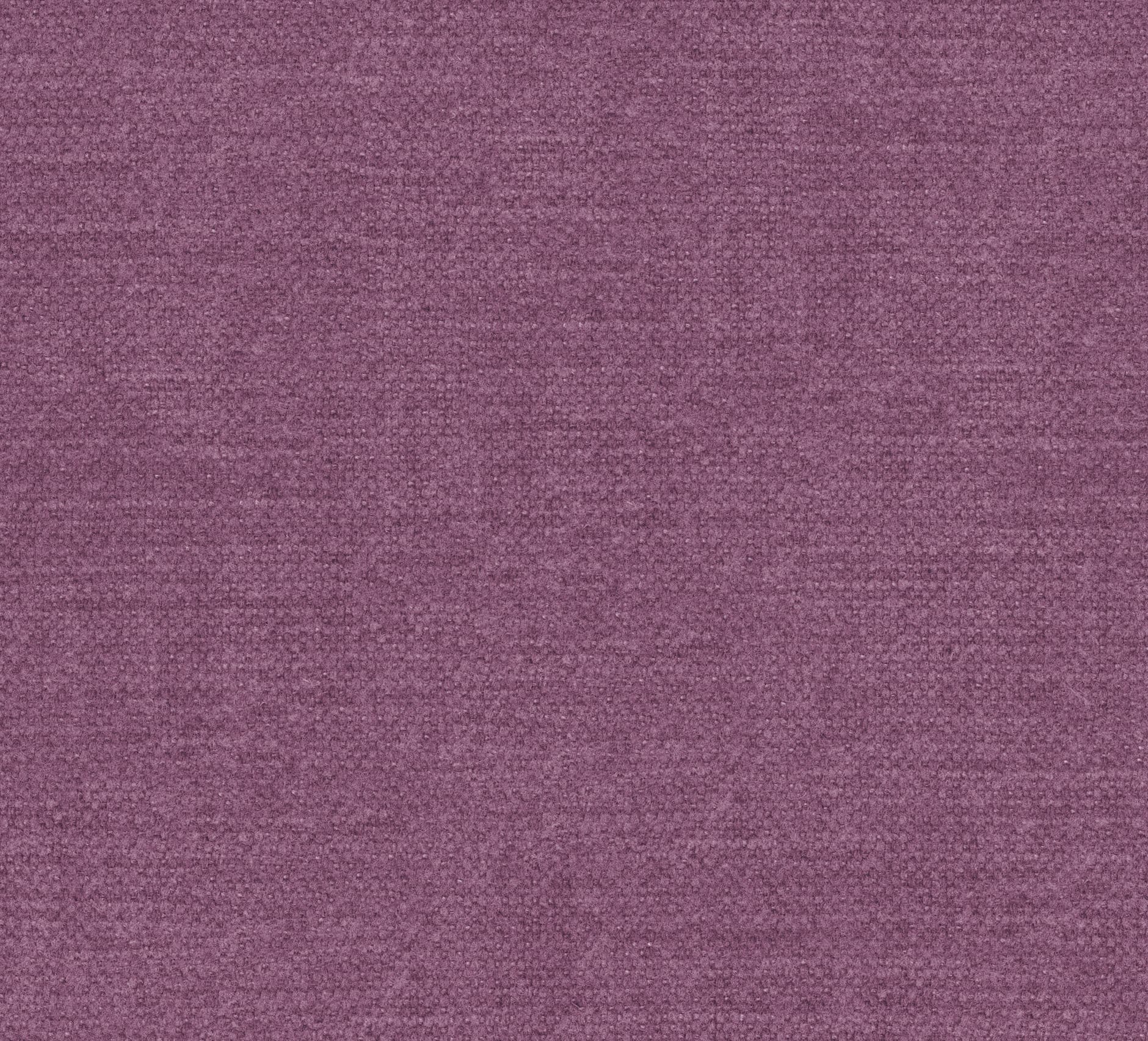Kiss kleur Prune 76