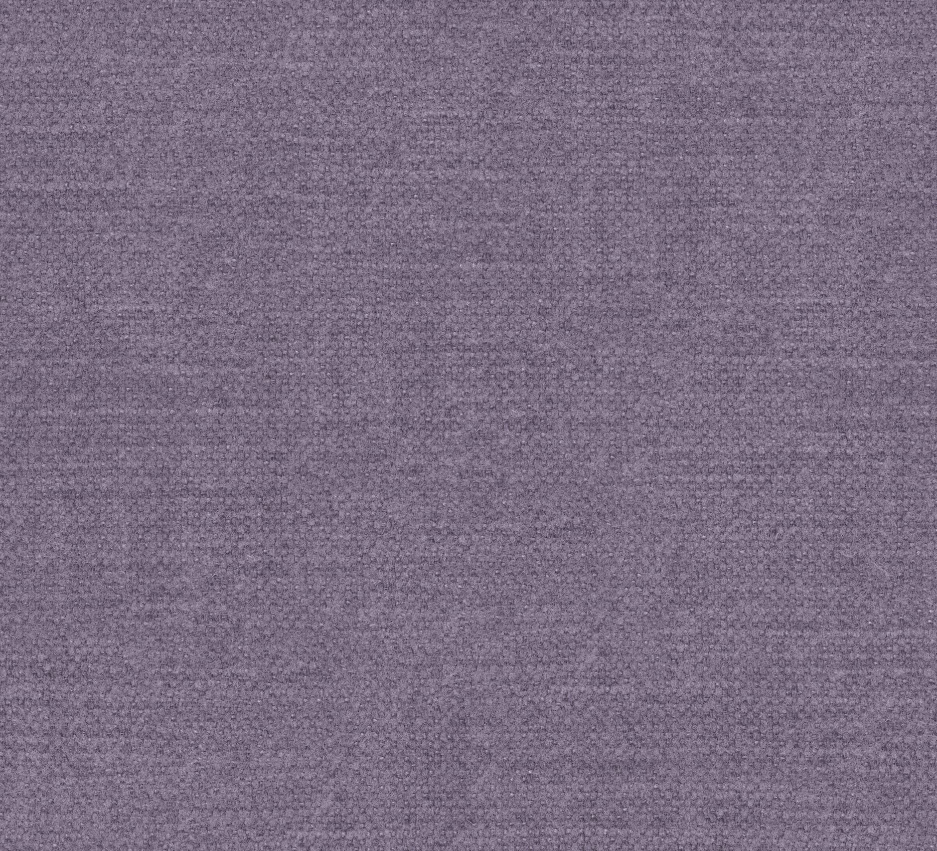Kiss kleur Purple 78