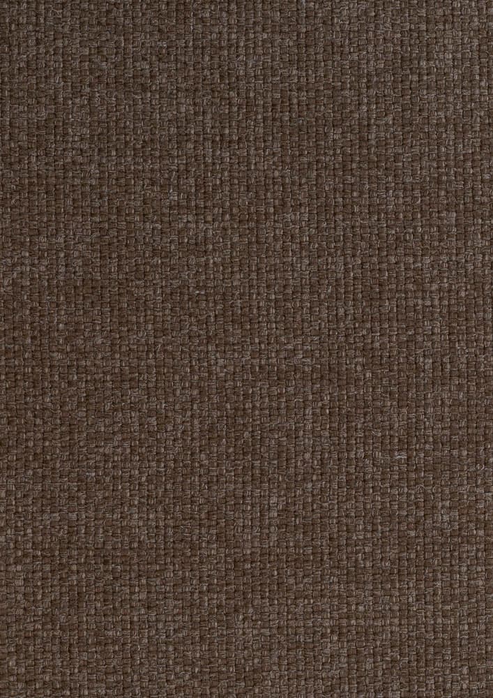 Kong kleur Cappuccino 11