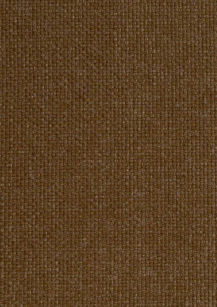 Kong kleur Mustard 06