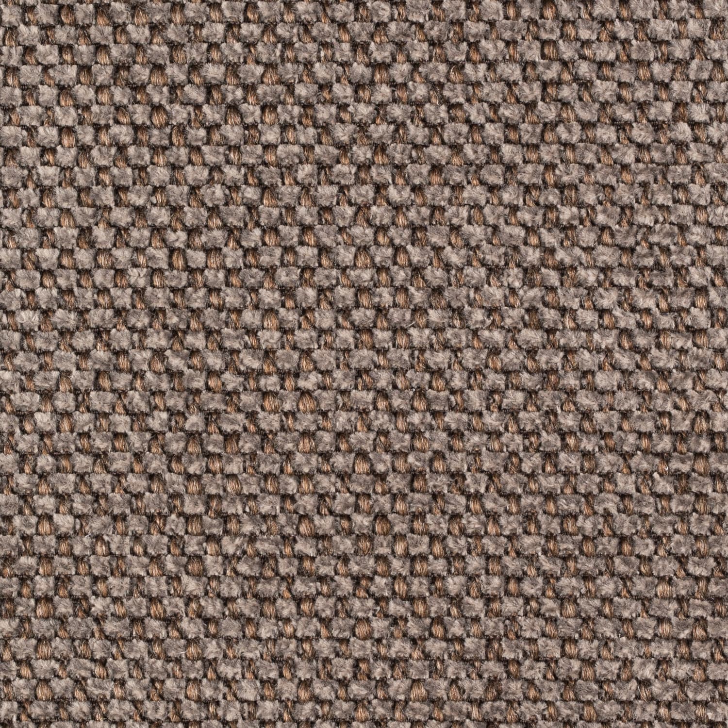 Silent 81
