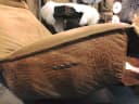 Relaxfauteuil Marlot - Chill-Line