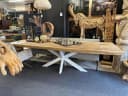 Boomstamtafel suarhout | spinpoot - Sventerior