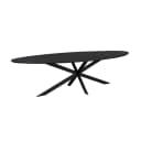 Eiken eettafel Ferris | Ovaal 280 cm | Zwart - Starfurn