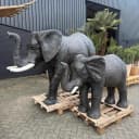 Polystone Olifant met Waterspuit | Tuinbeeld  Fontein - Sventerior