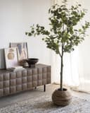 Vaas Planter Benti Medium - By-Boo
