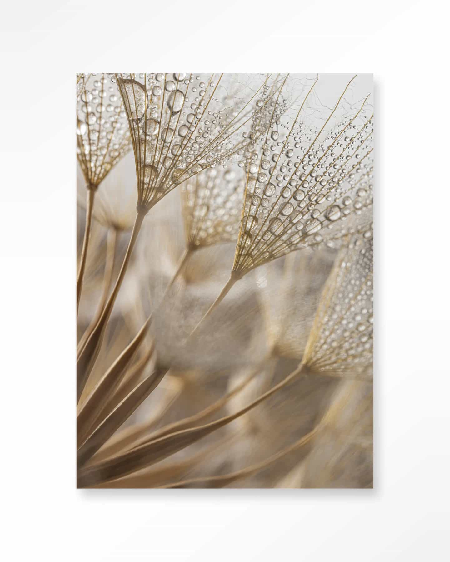 Wandkleed Natuurlijke Abstractie - Urban Cotton