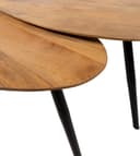 Kassel salontafel organisch, set van 2, Smooth Natural (17mm) - My Sons
