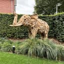 Olifant groot teak - Mokana Furniture