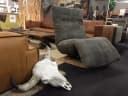 Relaxfauteuil Niek - Chill-Line