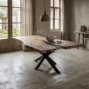 Boomstamtafel Suarhout Mozaïek - Sventerior