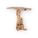 Bartafel Root uniek - Sventerior