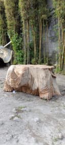 Salontafel Rhino Teak Unique - Sventerior