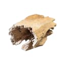 Salontafel Boomstam teak - Sventerior