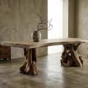 Boomstamtafel Suarhout | Wortelpoot - Sventerior