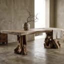 Boomstamtafel Suarhout | Wortelpoot - Sventerior