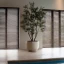 Luxe Zijden Olijfboom 260cm | Inclusief Pot