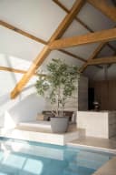 Luxe Zijden Olijfboom 260cm | Inclusief Pot