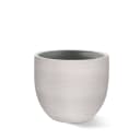 Bloesem Boom Crème 220cm incl. Witte Pot