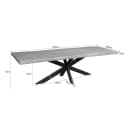 Boomstamtafel Dakota Naturel Mangohout 240 cm - Starfurn