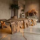 Waterval Boomstamtafel Wortelpoot Suarhout - Sventerior