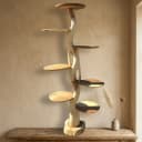 Boomsculptuur Rond Suar - Benoa