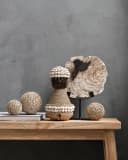 Schilderij Statue Fossil - MUST Living
