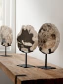Schilderij Statue Fossil - MUST Living