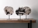 Schilderij Statue Fossil - MUST Living