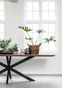 Eettafel Curves - DTP Home