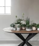 Eettafel Shape rond - DTP Home
