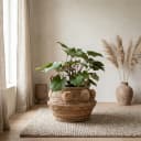 Mand Rio - MUST Living