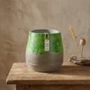Vaas Groen Medium - Benoa